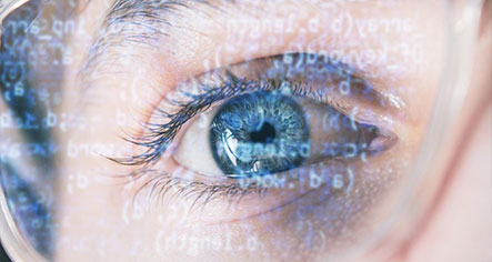 vision01